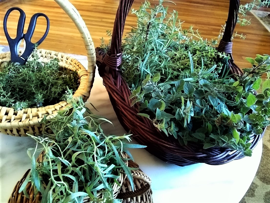 freshly cut herbs in baskets thyme tarragon oregano rosemary 