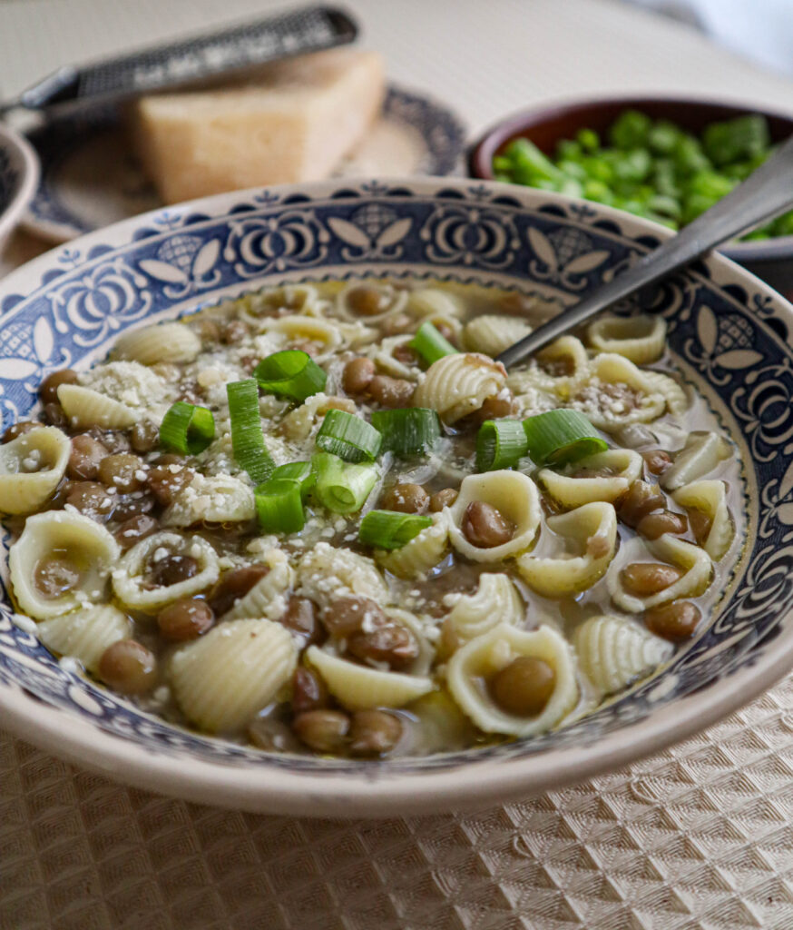 a single serving bowl of lentils with pasta with grated cheese and fresh chopped green onion,