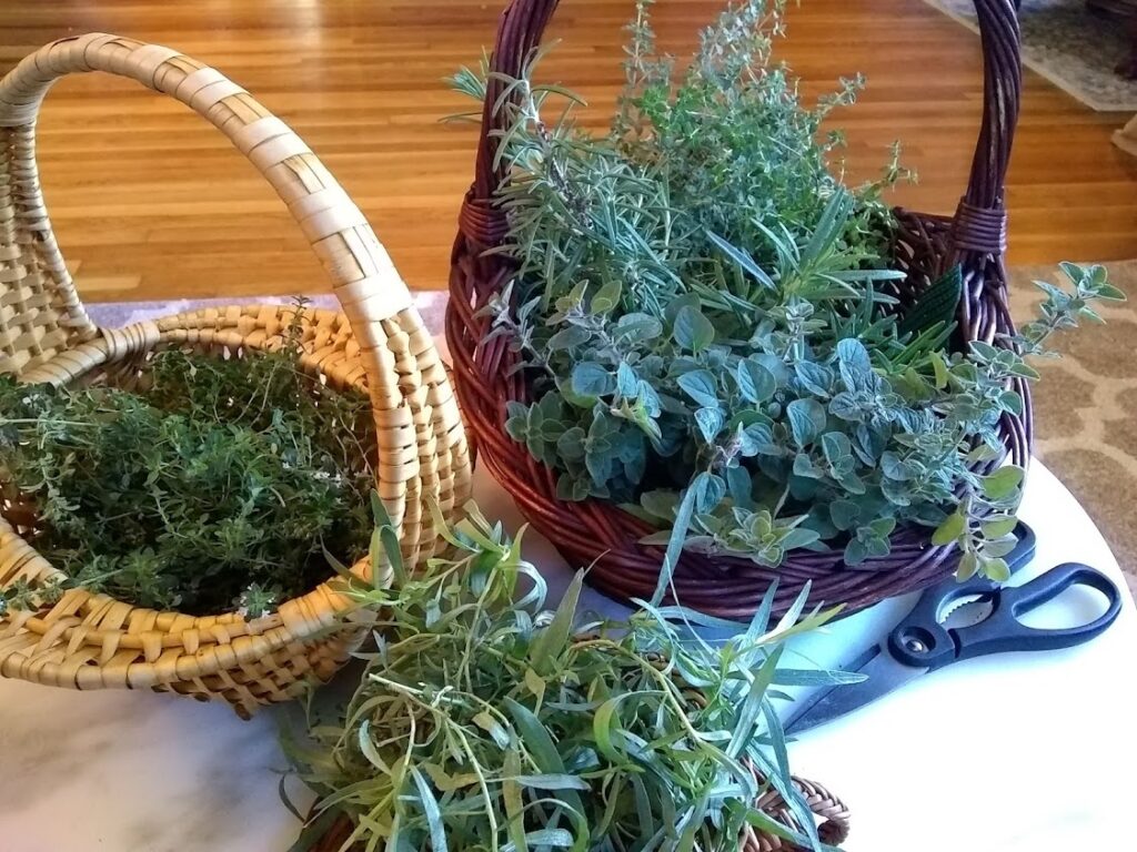 3 baskets with perennial herbs in them tarragon lemon thyme greek thyme oregano and rosemary