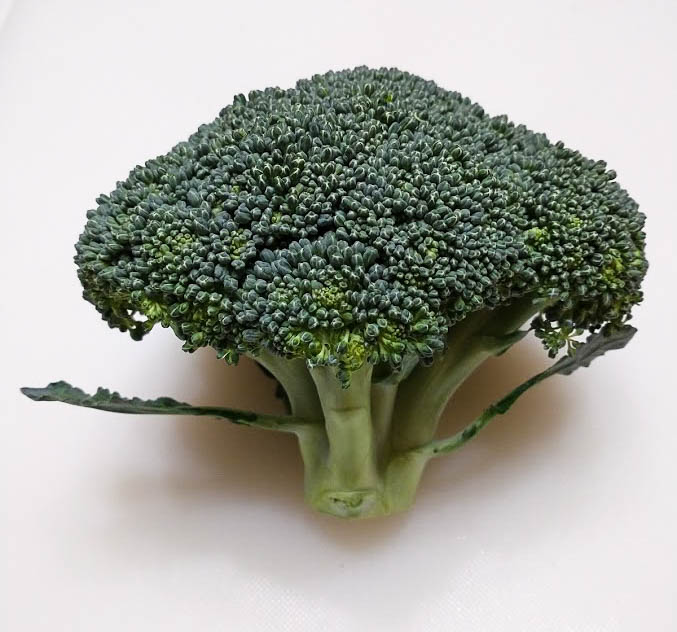 a head of broccoli