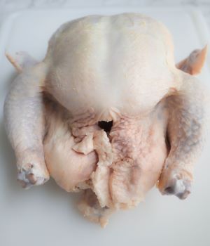 whole raw chicken not trimmed