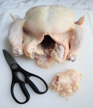 whole raw chicken with excess skin and fat trimmed from tail end with kitchen shears