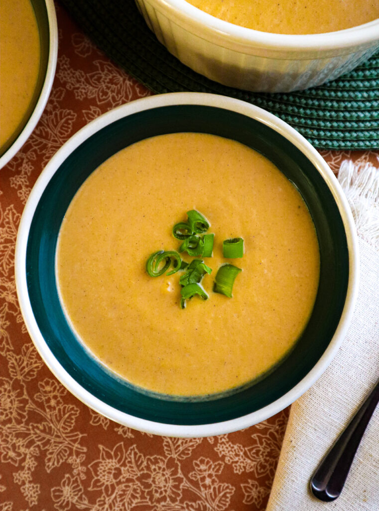 a single bowl full of butternut squash soup garnished with green onion